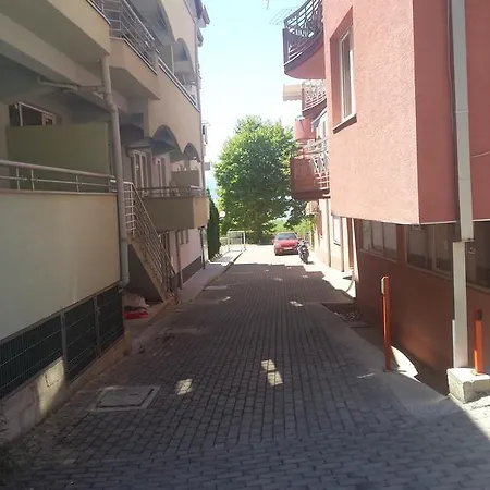 Gjole *